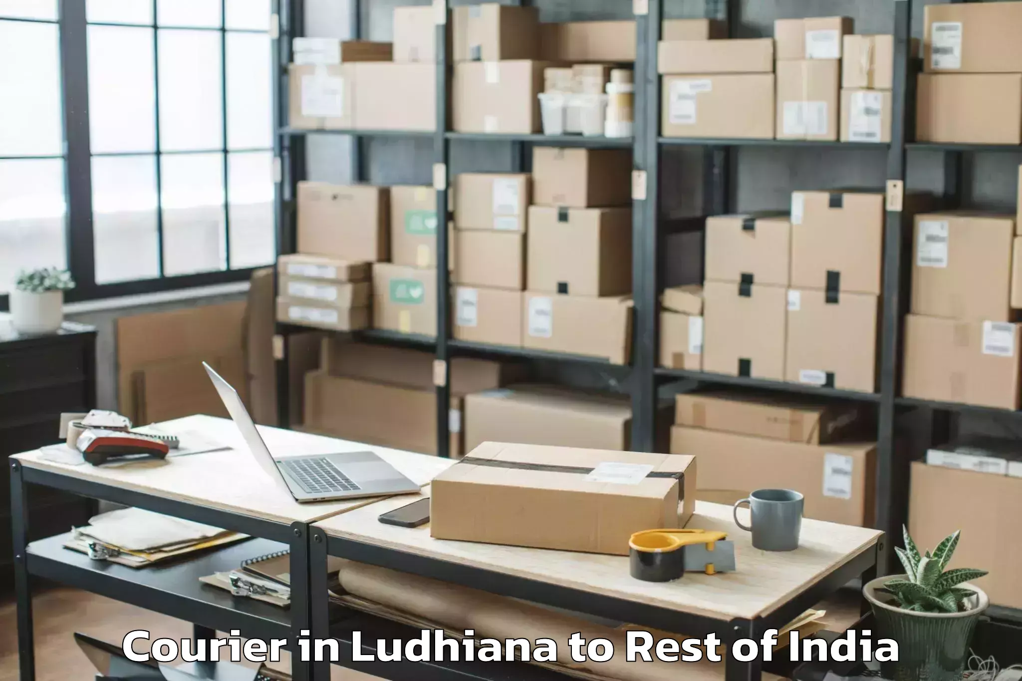 Reliable Ludhiana to Raghunathapally Courier